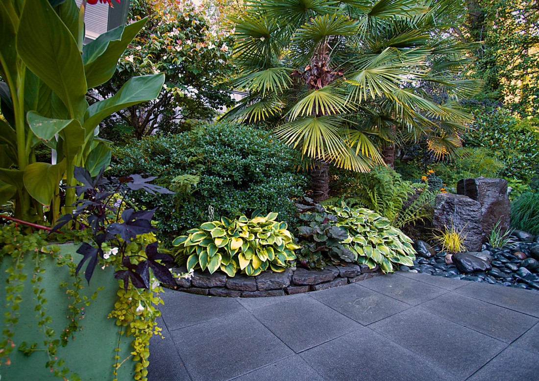 north vancouver landscape on kilmer