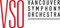 VSO Logo